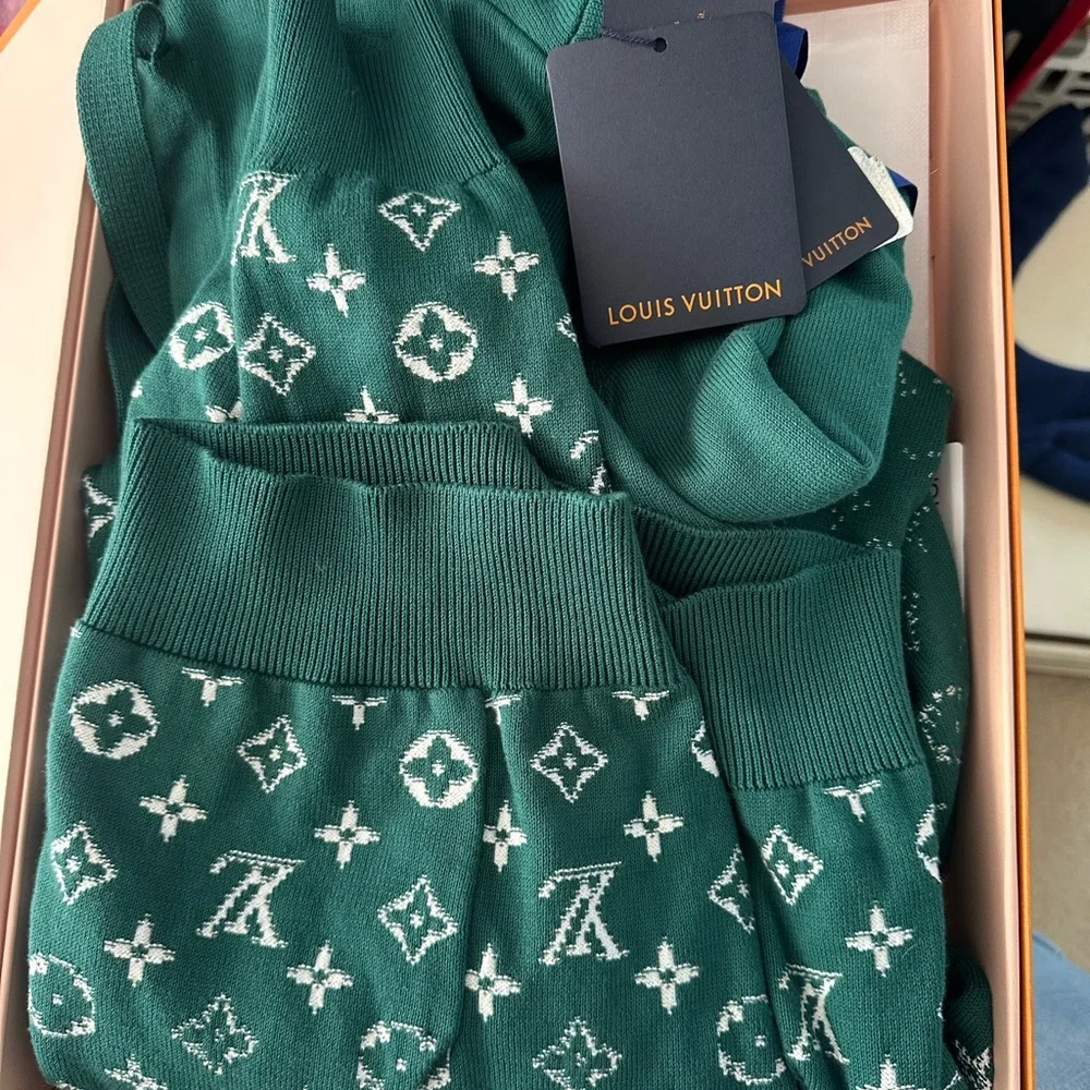 Louis Vuitton Men’s Green Monogram Gradient Cotton Hoodie - Picture 2 of 7